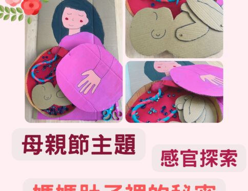 🌸 母親節主題 | 媽媽肚子裡的秘密 | 感官探索 | 教具操作教案